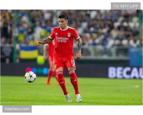 恩佐与贝林厄姆中场攻防表现及战术适配性差异解析